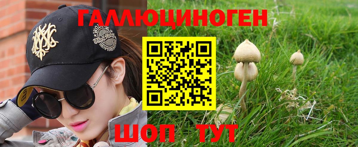 Электрогорск  Галлюциногенные грибы Psilocybe  Псилоцибиновые грибы Magic Shrooms  Вход с VPN 
